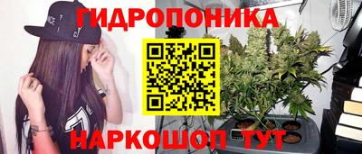 Альфа ПВП Гудермес