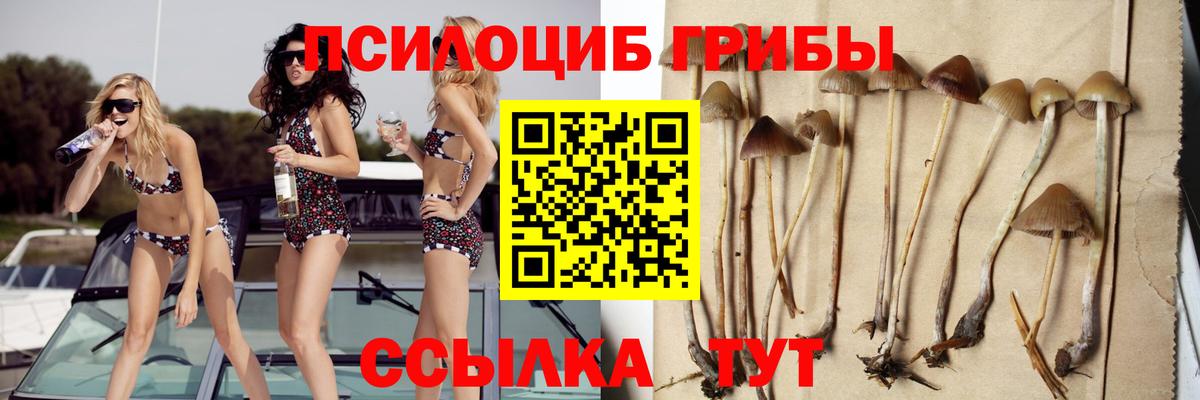 Губкин  Галлюциногенные грибы ЛСД  Псилоцибиновые грибы GOLDEN TEACHER  Вход с VPN 