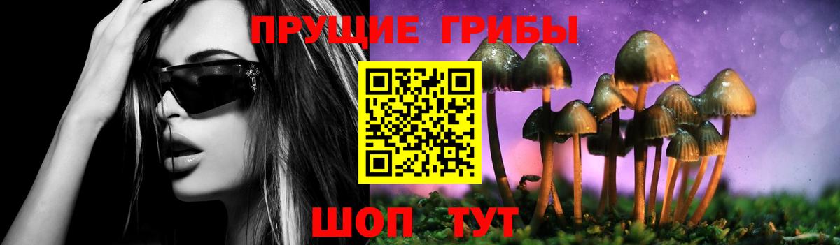 Галлюциногенные грибы Cubensis Губкин