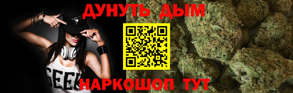 Бошки Шишки план Губкин